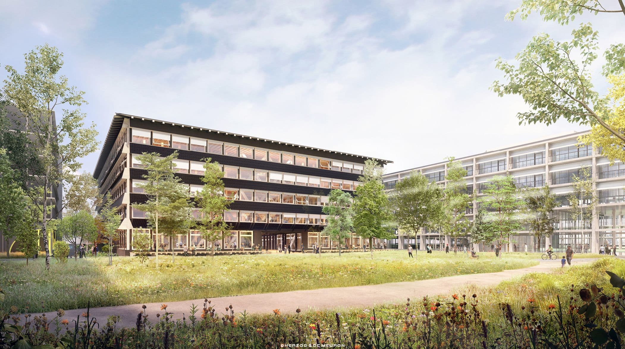 Bild 1 So wird es bald aussehen: HORTUS auf dem BaseLink-Areal in Allschwil bei Basel/CH Quelle: Herzog & de Meuron