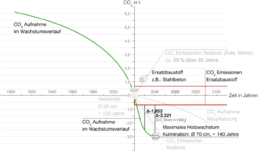 Bild 13 CO2-Bilanz Buche bei Weiterwachstum und Abzug Ersatzbaustoff
Quelle: ACMS Architekten GmbH