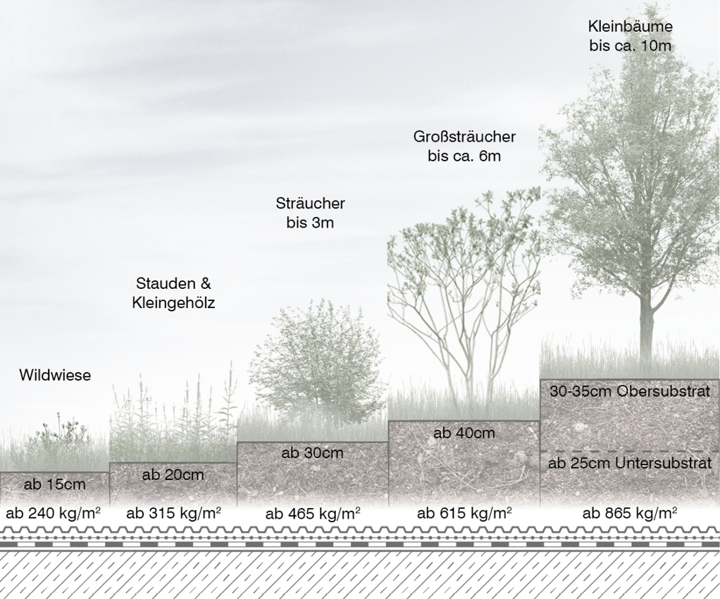 Mit der Komplexität des Dachgartens steigen die Substrataufbauhöhen und auch die Ausbaulasten – schematisch sind die Mindestanforderungen dargestellt