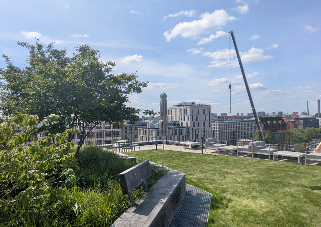 Bild 2 Weitläufige Mieterterrasse über dem historischen Eisenbahnviadukt: Das Retentionsdach speichert Niederschläge, versorgt die Vegetation nachhaltig mit Wasser und schafft zugleich attraktive Freiräume mit Blick über Berlin. (Quelle: Levin Monsigny Landschaftsarchitekten)