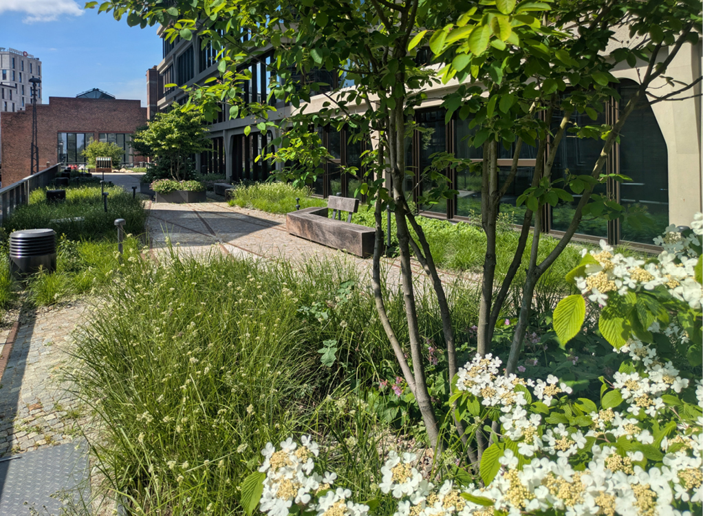 Bild 3 Naturnahe Bepflanzung, Sitzbereiche und kurze Wege: Die Dachlandschaft vereint ökologische Funktion und lebendige Nutzung – ein Beitrag zur klimaresilienten Stadtentwicklung. (Quelle: Levin Monsigny Landschaftsarchitekten)